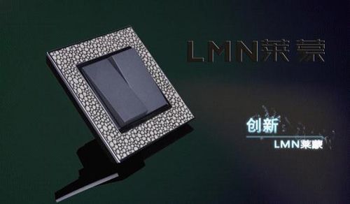 萊蒙領(lǐng)跑中國工業(yè)制造 開啟嶄新電氣時代