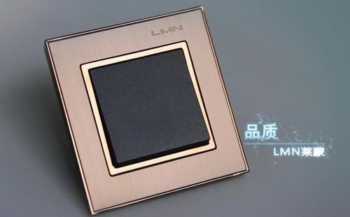 萊蒙領(lǐng)跑中國工業(yè)制造 開啟嶄新電氣時代