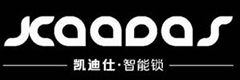 凱迪仕