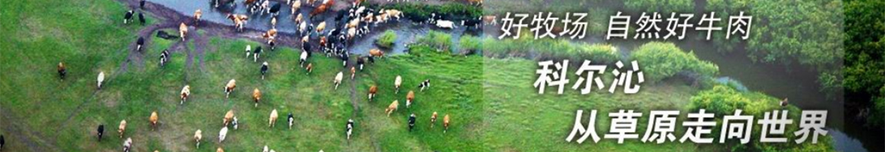 科爾沁