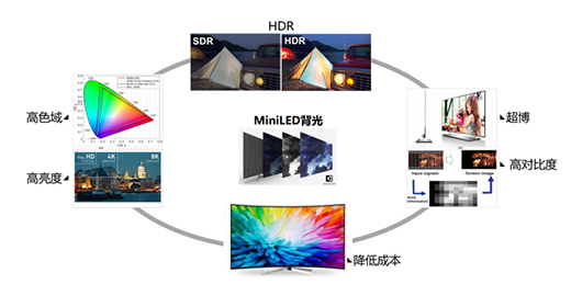 MiniLED�r�����R���^��������ڞ�OLED����Ĺ��