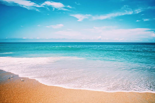 �����մ� | ������?gu��)r�����ղ������С�_��