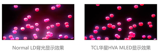 TCL�A�ǌ��FMiniLED늸��@ʾ�����aͻ��