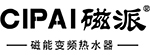 磁派