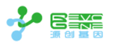 源創(chuàng)干細(xì)胞